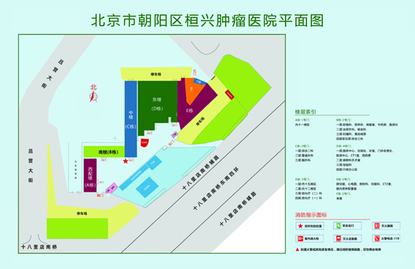 操大鸡巴视视频北京市朝阳区桓兴肿瘤医院平面图